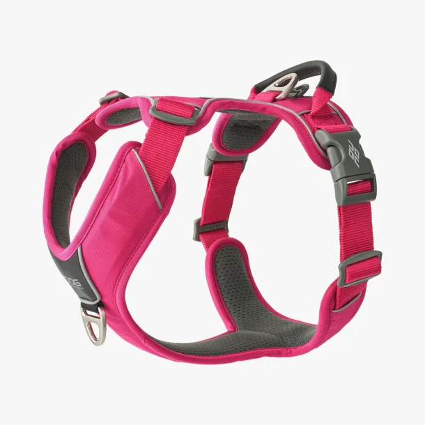 Dog Copenhagen Comfort Walk Pro� Sele,           Wild Rose