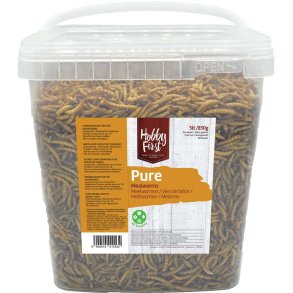 Hobby First T�rrede Melorme, 850 g