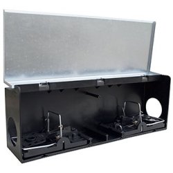 Tunnelbox Rotter m/ 2 Smkflder