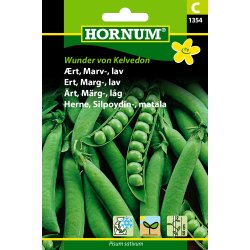 Hornum rt, Marv-, lav, Wunder von Kelvedon