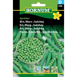 Hornum rt, Marv-, Exzellenz