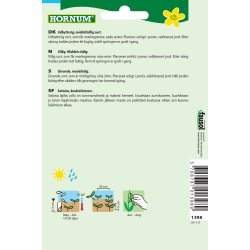 Hornum rt, Marv-, Exzellenz