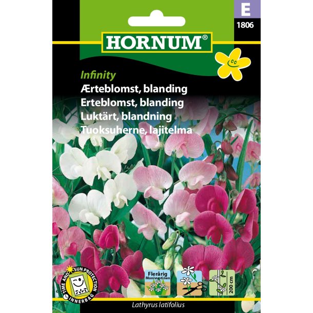 Hornum rteblomst, blanding, Infinity