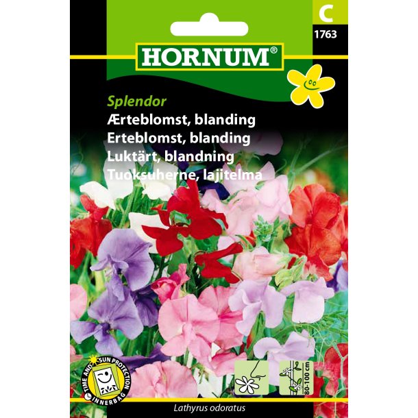 Hornum - rteblomst, blanding, Splendor