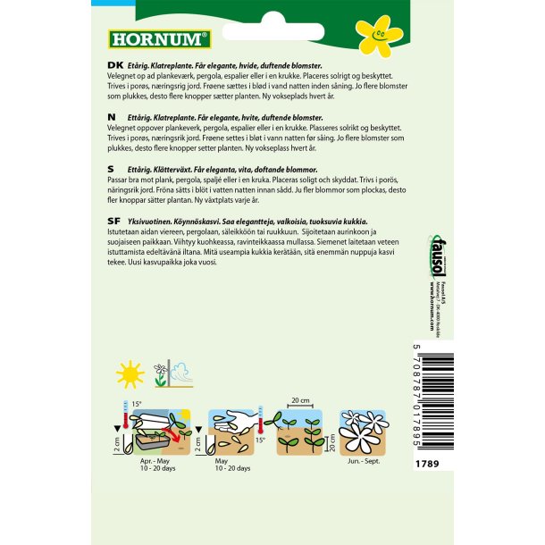 Hornum rteblomst, Mammut White