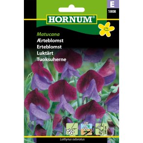 Hornum rteblomst, Matucana