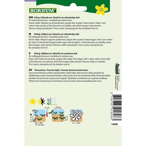 Hornum rteblomst, Matucana