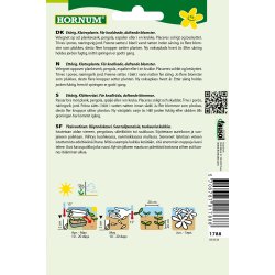 Hornum rteblomst, Scarlet