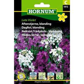 Hornum Aftenstjerne, blanding, Late Violet