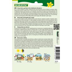 Hornum Aftenstjerne, blanding, Late Violet