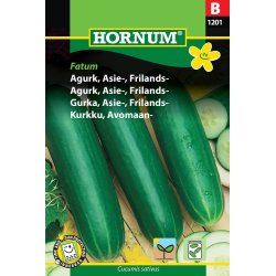 Hornum Agurk, Asie-, Frilands-, Fatum