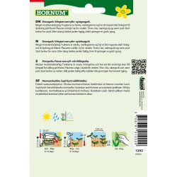 Hornum Agurk, Drue-, Frilands-, Libelle F1