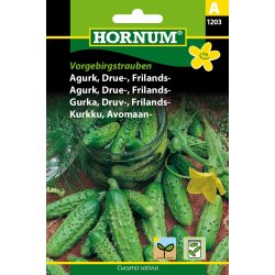 Hornum Agurk, Drue-, Frilands-, Vorgebirgs.