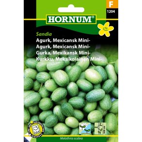 Hornum Agurk, Mexicansk Mini-, Sandia