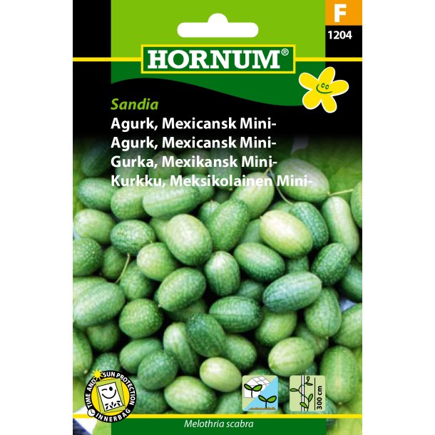 Hornum Agurk, Mexicansk Mini-, Sandia