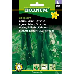 Hornum Agurk, Salat-, Drivhus-, Saladin F1