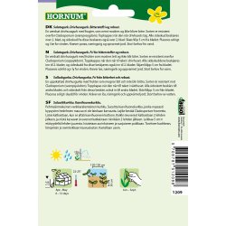 Hornum Agurk, Salat-, Drivhus-, Saladin F1