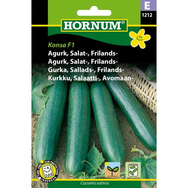 Hornum Agurk, Salat-, Frilands-, Konsa F1