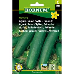 Hornum Agurk, Salat-, Frilands-, Moneta