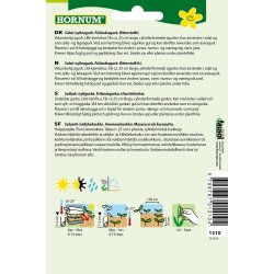 Hornum Agurk, Salat-, Frilands-, Moneta