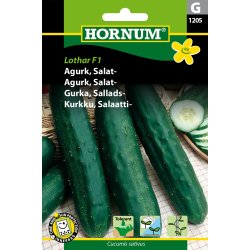 Hornum Agurk, salat-, Jazzer F1