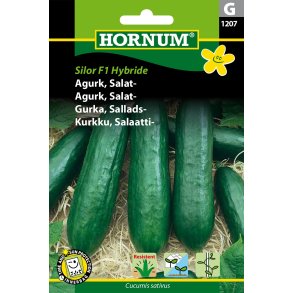 Hornum Agurk, Salat-, Silor F1 Hybride