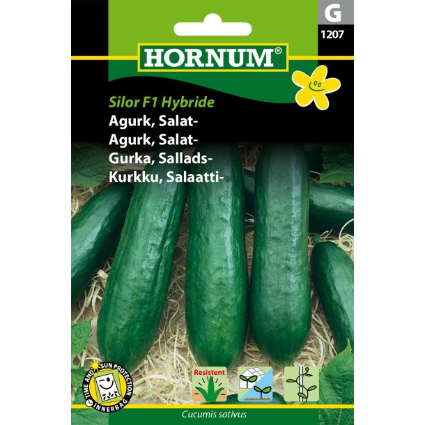Hornum Agurk, Salat-, Silor F1 Hybride