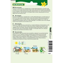 Hornum Agurk, Salat-, Silor F1 Hybride