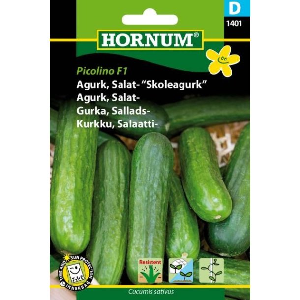 Hornum - Agurk, Salat- Skoleagurk, Picolino F1