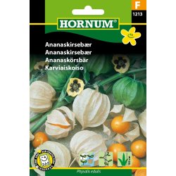 Hornum Ananaskirsebr