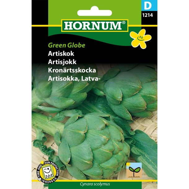 Hornum Artiskok, Grosse von Laon