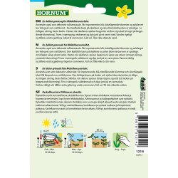 Hornum Artiskok, Grosse von Laon