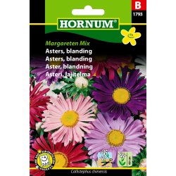 Hornum Asters, blanding, Margareten Mix