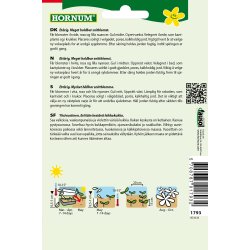 Hornum Asters, blanding, Margareten Mix