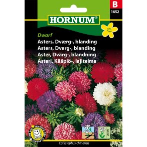 Hornum Asters, Dvrg-, blanding, Dwarf