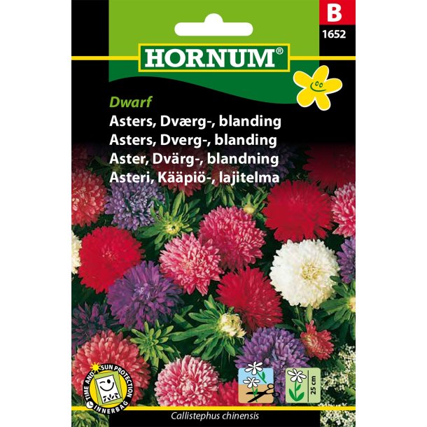 Hornum Asters, Dvrg-, blanding, Dwarf