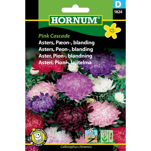Hornum Asters, Pon-, blan., Pink Cascade