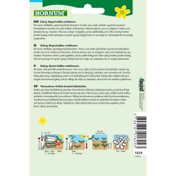 Hornum Asters, Pon-, blan., Pink Cascade