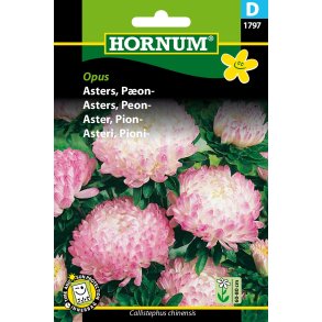 Hornum Asters, Pon-, Opus