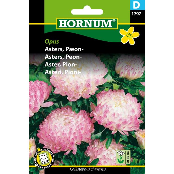 Hornum Asters, Pon-, Opus