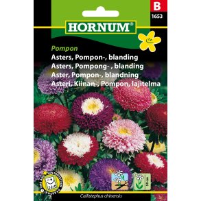 Hornum Asters, Pompon-, blanding, Pompon