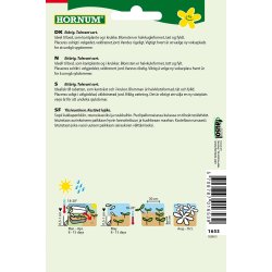 Hornum Asters, Pompon-, blanding, Pompon