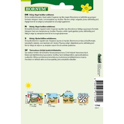 Hornum Asters, Pompon-, Sidonia L. Violet