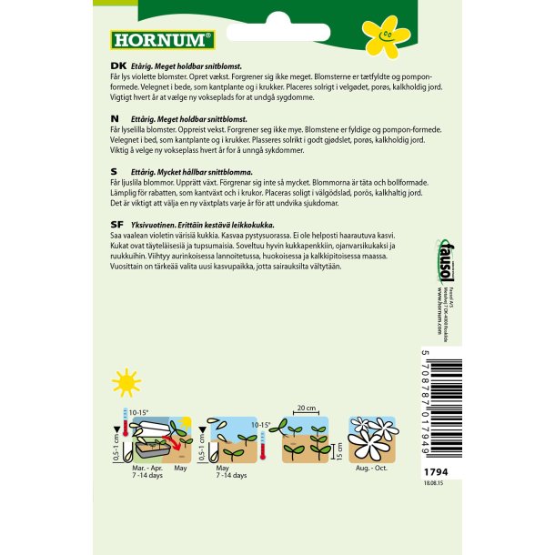 Hornum Asters, Pompon-, Sidonia L. Violet