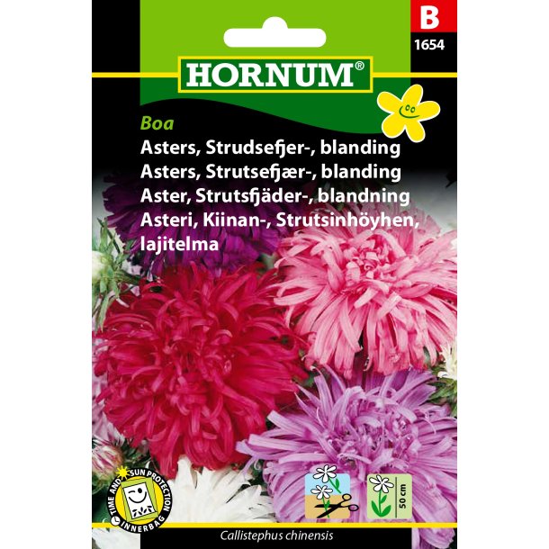 Hornum Asters, Strudsefjer-, blanding, Boa