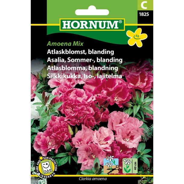 Hornum Atlaskblomst, blanding, Amoena Mix