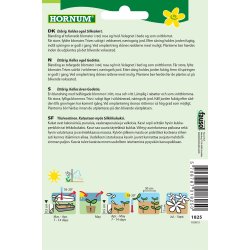 Hornum Atlaskblomst, blanding, Amoena Mix