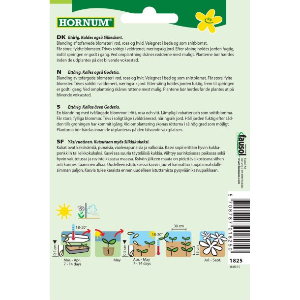 Hornum Atlaskblomst, blanding, Amoena Mix