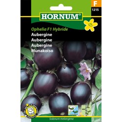 Hornum Aubergine, Kaberi (TSX 250) F1