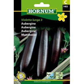 Hornum Aubergine, Violetta lunga 3